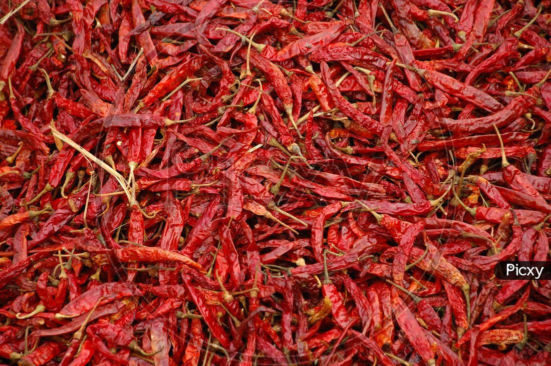 Guntur Red Mirchi Powder – The King of Indian Spices