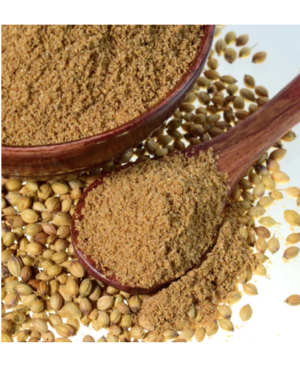 Dhaniya Powder